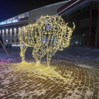 Световая уличная фигура Зубр Серия Каркас