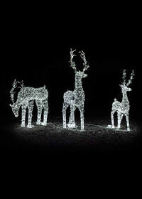 Световая композиция Семья Оленей 24В серия Ажур