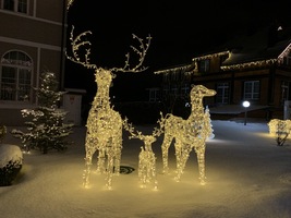 Световая композиция Семья Оленей 24В серия Ажур