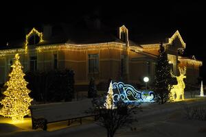 Световая фигура Елочка с контуром 2,5м Серия Ажур