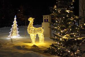 Световая фигура Елочка с контуром 2,5м Серия Ажур