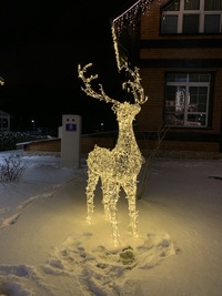 Световая уличная фигура Олень 2,3 м Серия Ажур 24 В