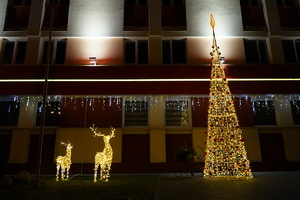 Световое дерево Конус Ажурный 2м