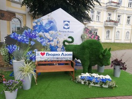 Фигура из искусственной травы Зубр