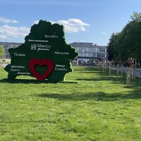 Топиарная композиция Беларусь