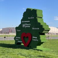 Топиарная композиция Беларусь