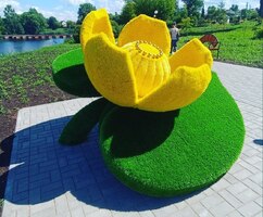 Фигура из искусственной травы " Кувшинка "