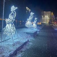 Световая фигура Павлин 2,5 м 2Д